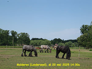 afbeelding van de dag