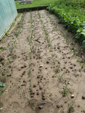 Overstromingen 23 juli 2016