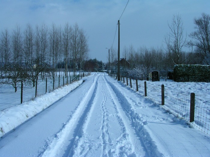 Sneeuwfoto 27 februari 2004