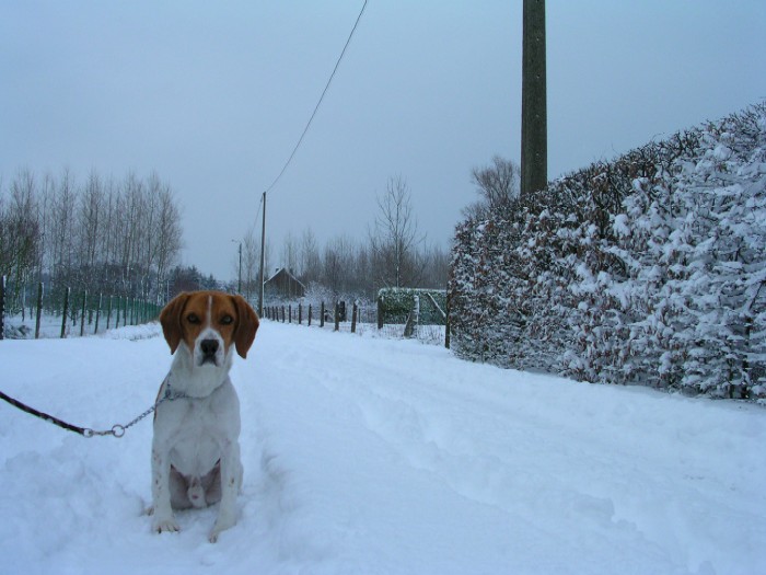 Sneeuwfoto 27 februari 2004