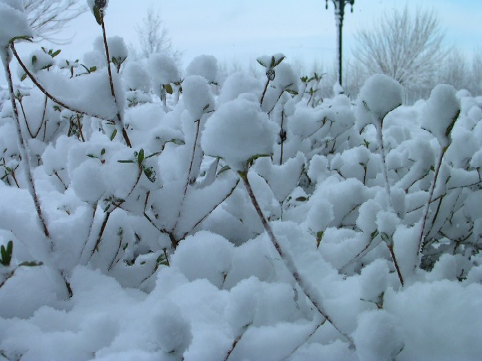 Sneeuwfoto 4 januari 2003