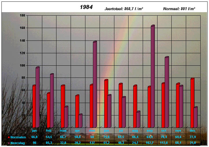 neerslaggrafiek 1984