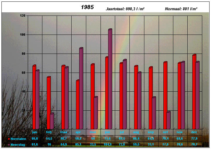 neerslaggrafiek 1985