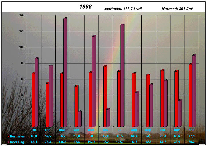 neerslaggrafiek 1988