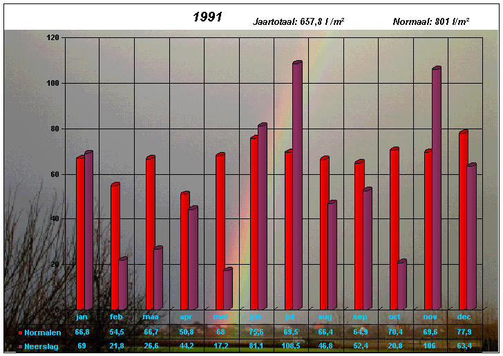 neerslaggrafiek 1991