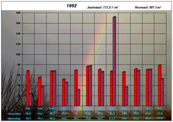 neerslaggrafiek 1992