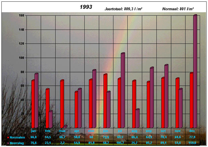 neerslaggrafiek 1993