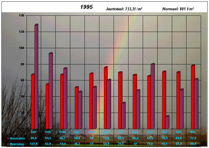 neerslaggrafiek 1995