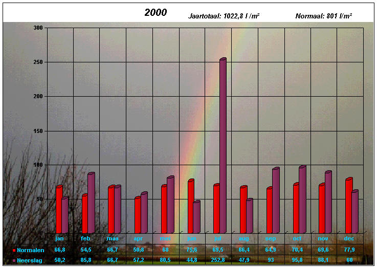 neerslaggrafiek 2000