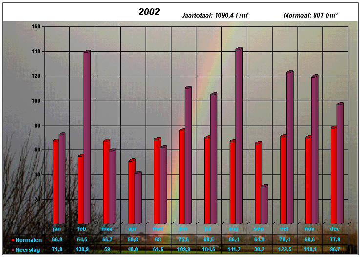 neerslaggrafiek 2002