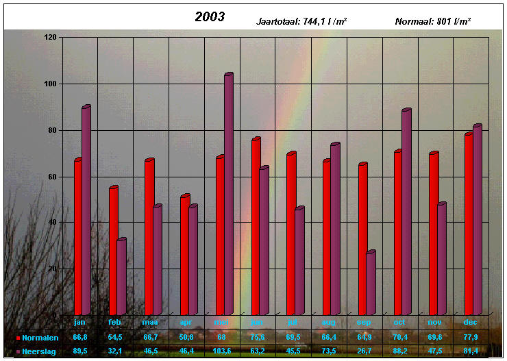 neerslaggrafiek 2003