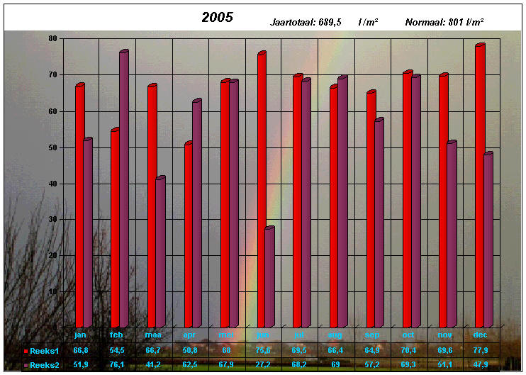 neerslaggrafiek 2005