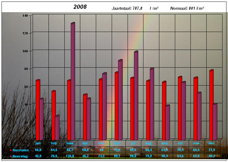 neerslaggrafiek 2008