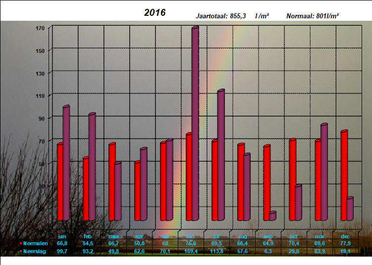 neerslaggrafiek 2016