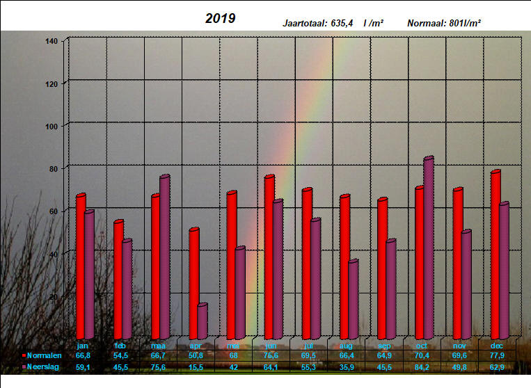 neerslaggrafiek 2019