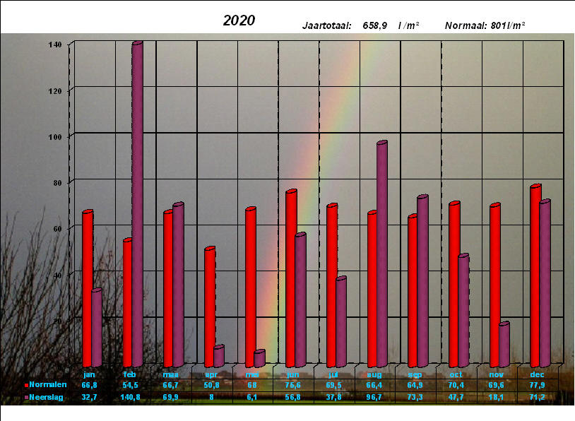 neerslaggrafiek 2020