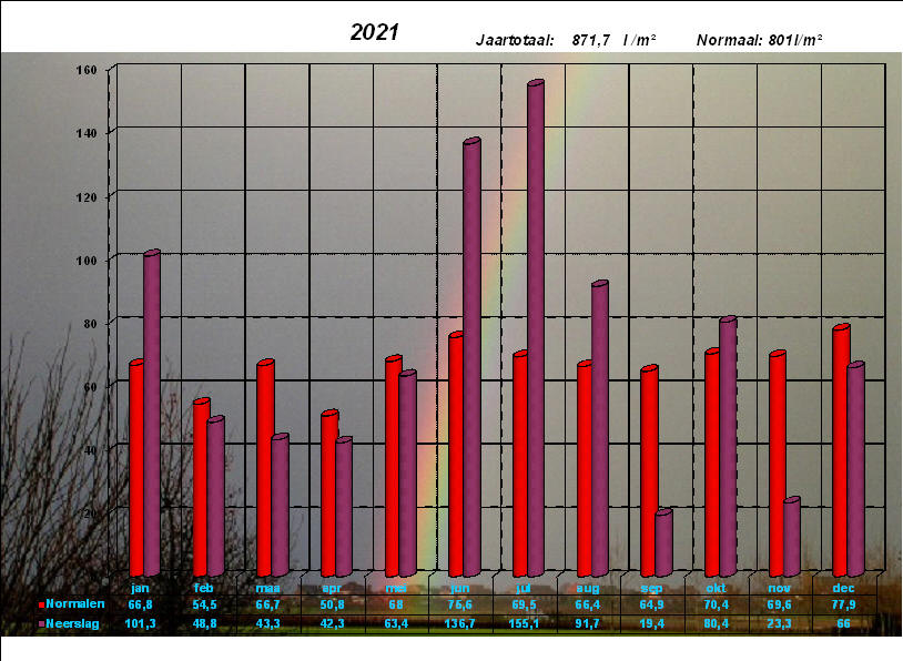 neerslaggrafiek 2021