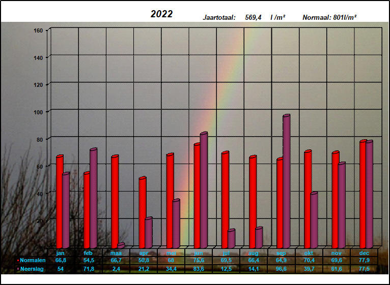 neerslaggrafiek 2022