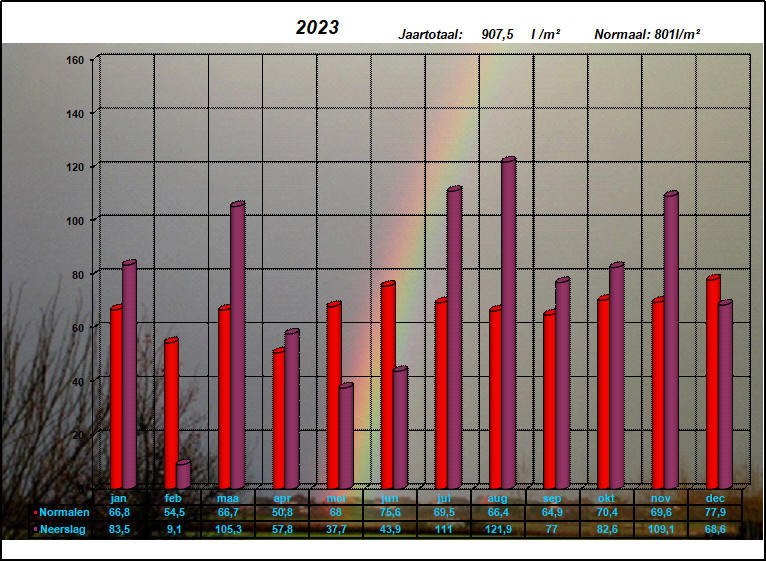 neerslaggrafiek 2023