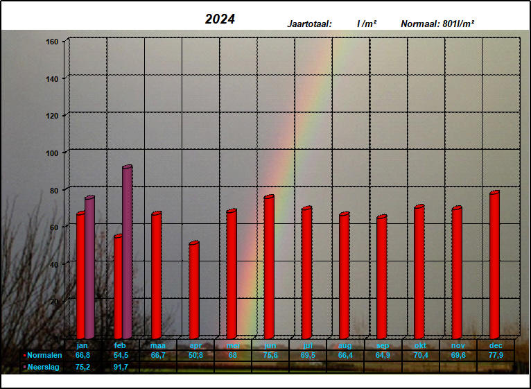 neerslaggrafiek 2024