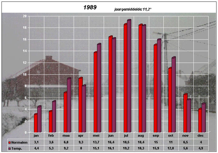 temperatuurgrafiek 1989